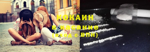 стаф Новозыбков