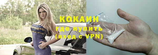 крисы Новокубанск