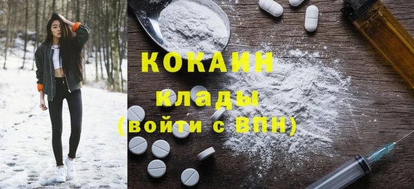 стаф Новозыбков