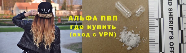 стаф Новозыбков