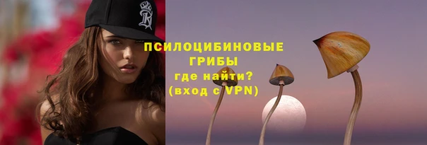 молекула духа Новодвинск