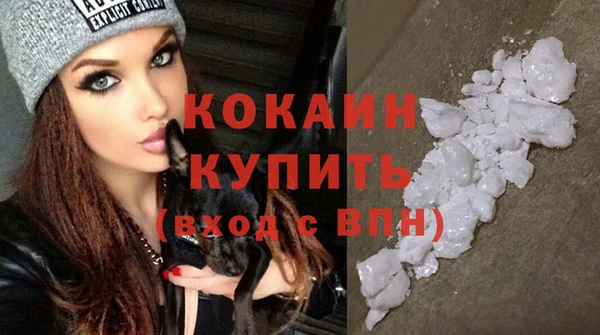 молекула духа Новодвинск