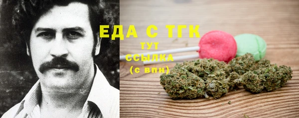 стаф Новозыбков