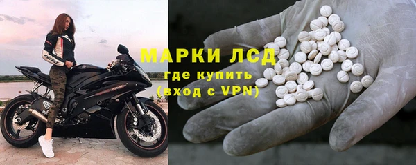 стаф Новозыбков