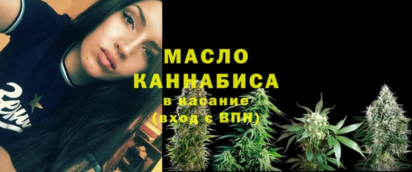 молекула духа Новодвинск